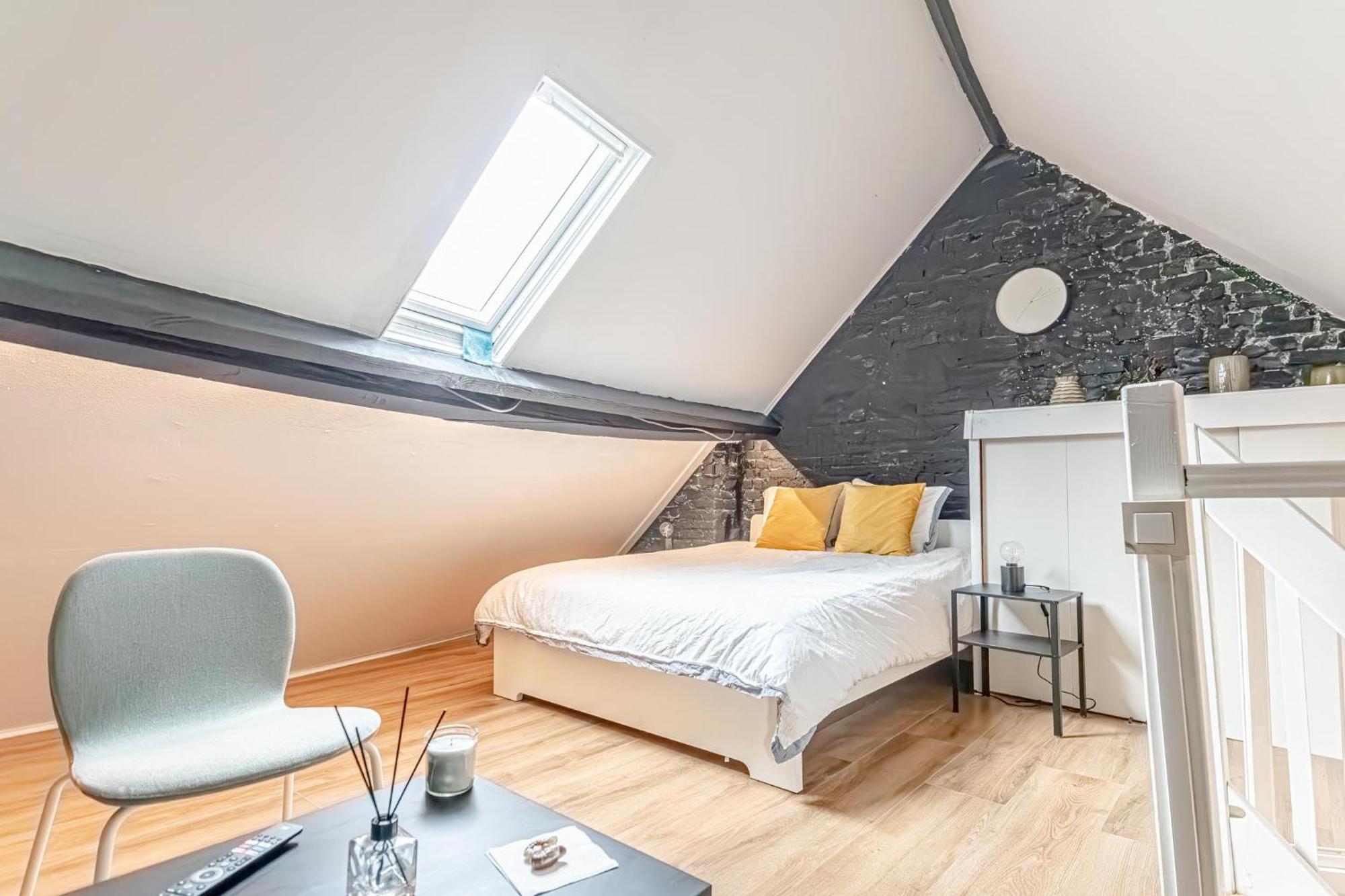 Spacious Shared 5Br Apt In The Heart Of Gent Extérieur photo